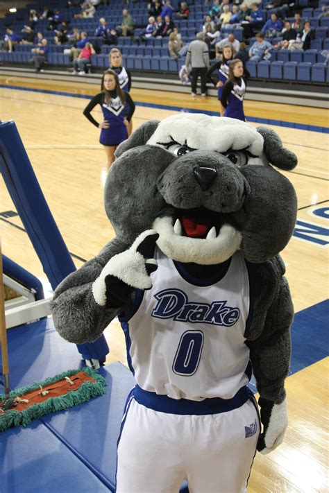 drake basketball mascot